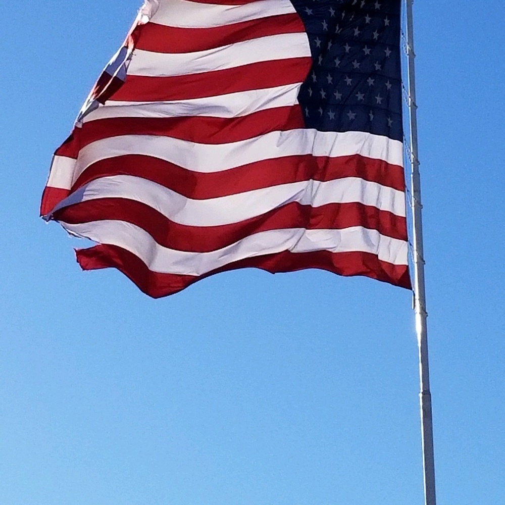 Meet your Posher, Bobbie